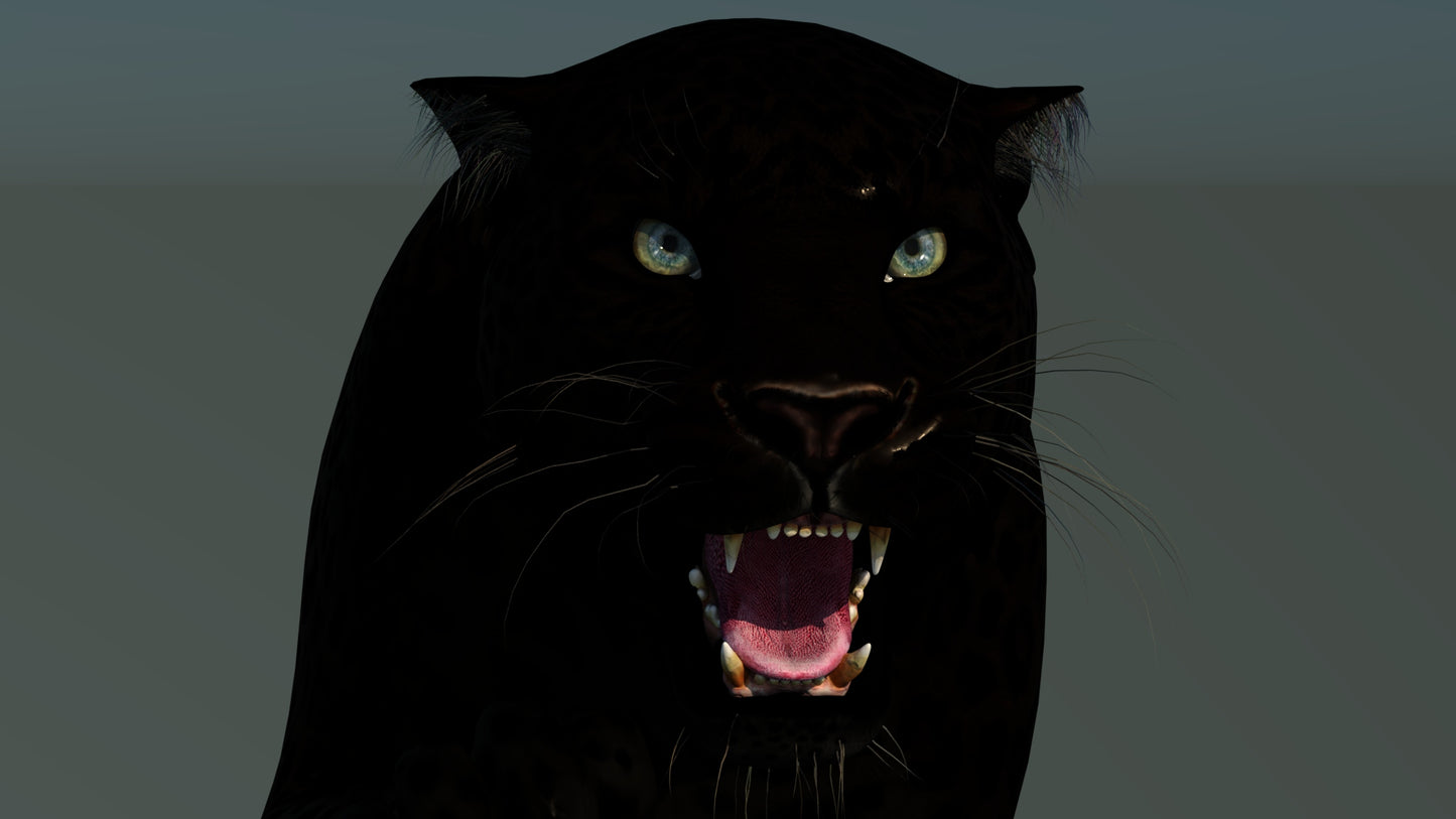Rigged Black Panther 3D Model