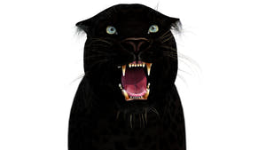 Rigged Black Panther 3D Model for Download Thumbnail