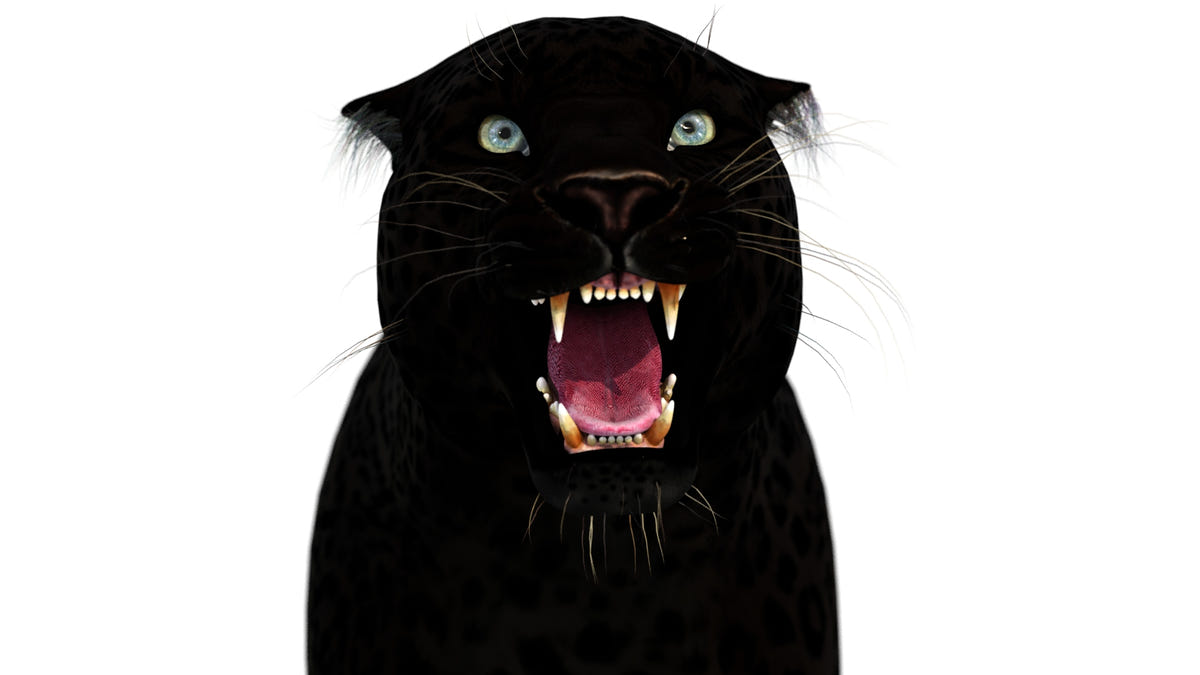 Rigged Black Panther 3D Model for Download