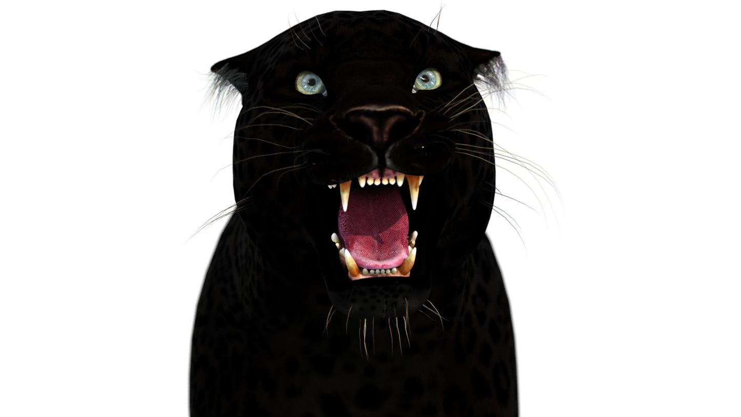 Rigged Black Panther 3D Model