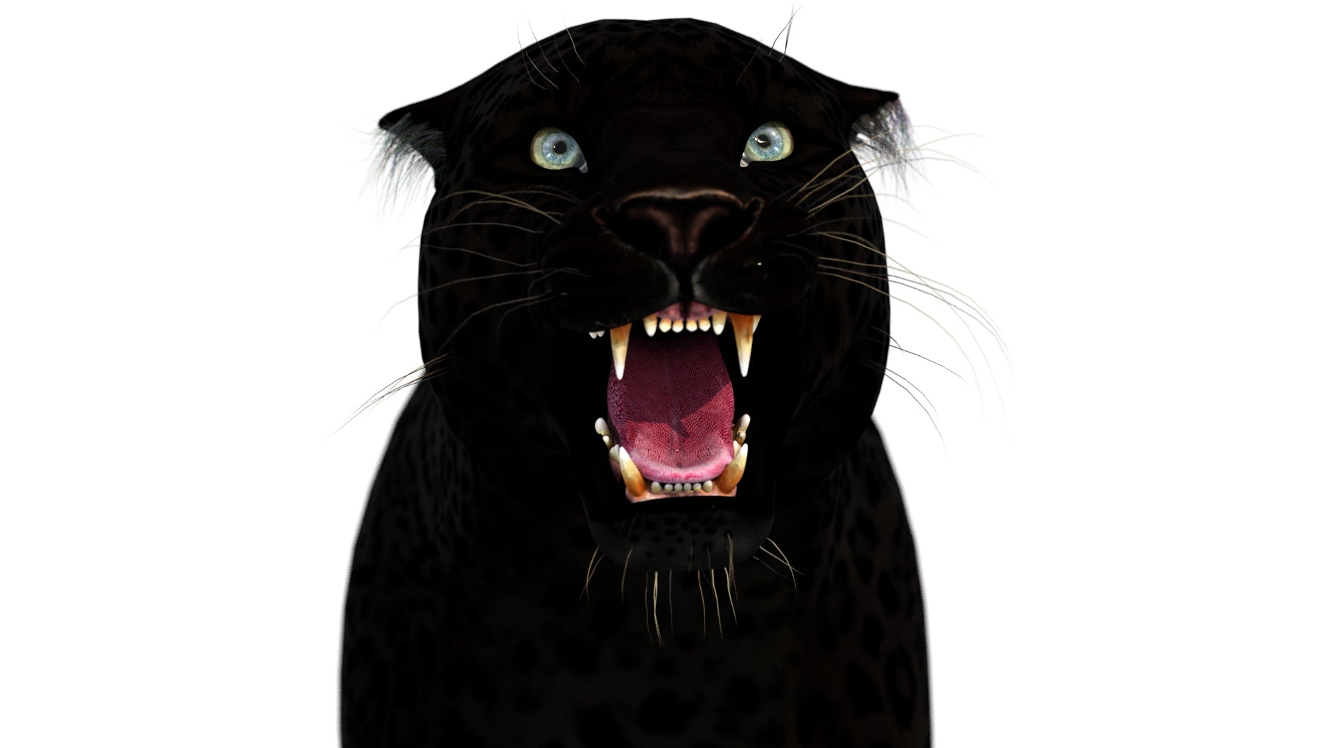 Rigged Black Panther 3D Model for Download