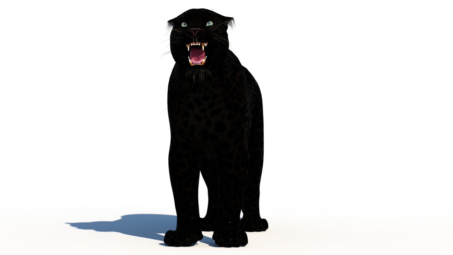 Rigged Black Panther 3D Model
