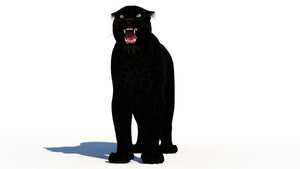 Rigged Black Panther 3D Model for Download Thumbnail