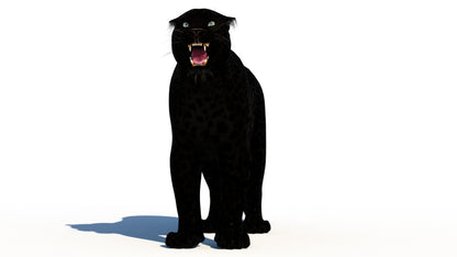 Rigged Black Panther 3D Model