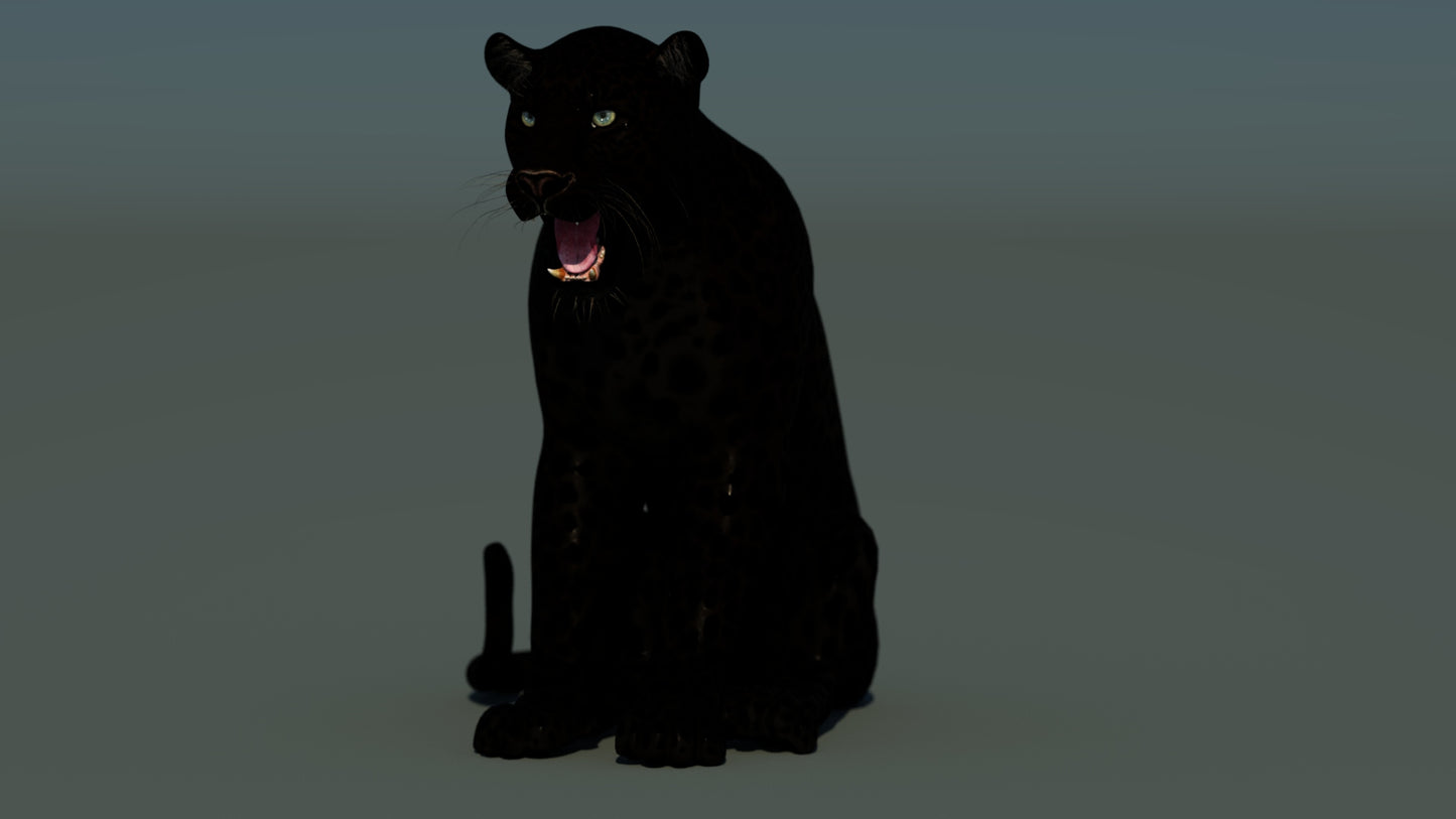 Rigged Black Panther 3D Model