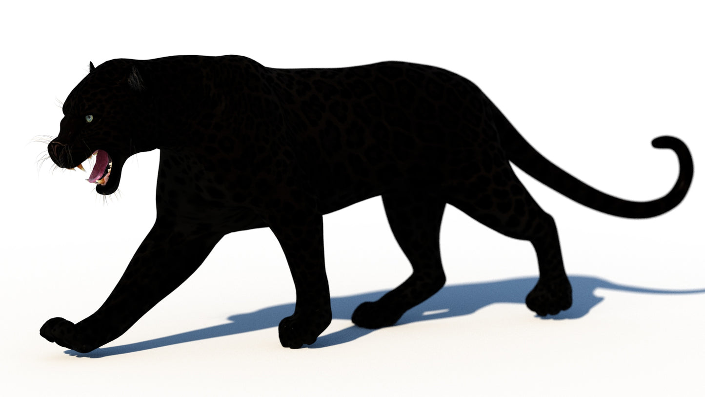 Rigged Black Panther 3D Model