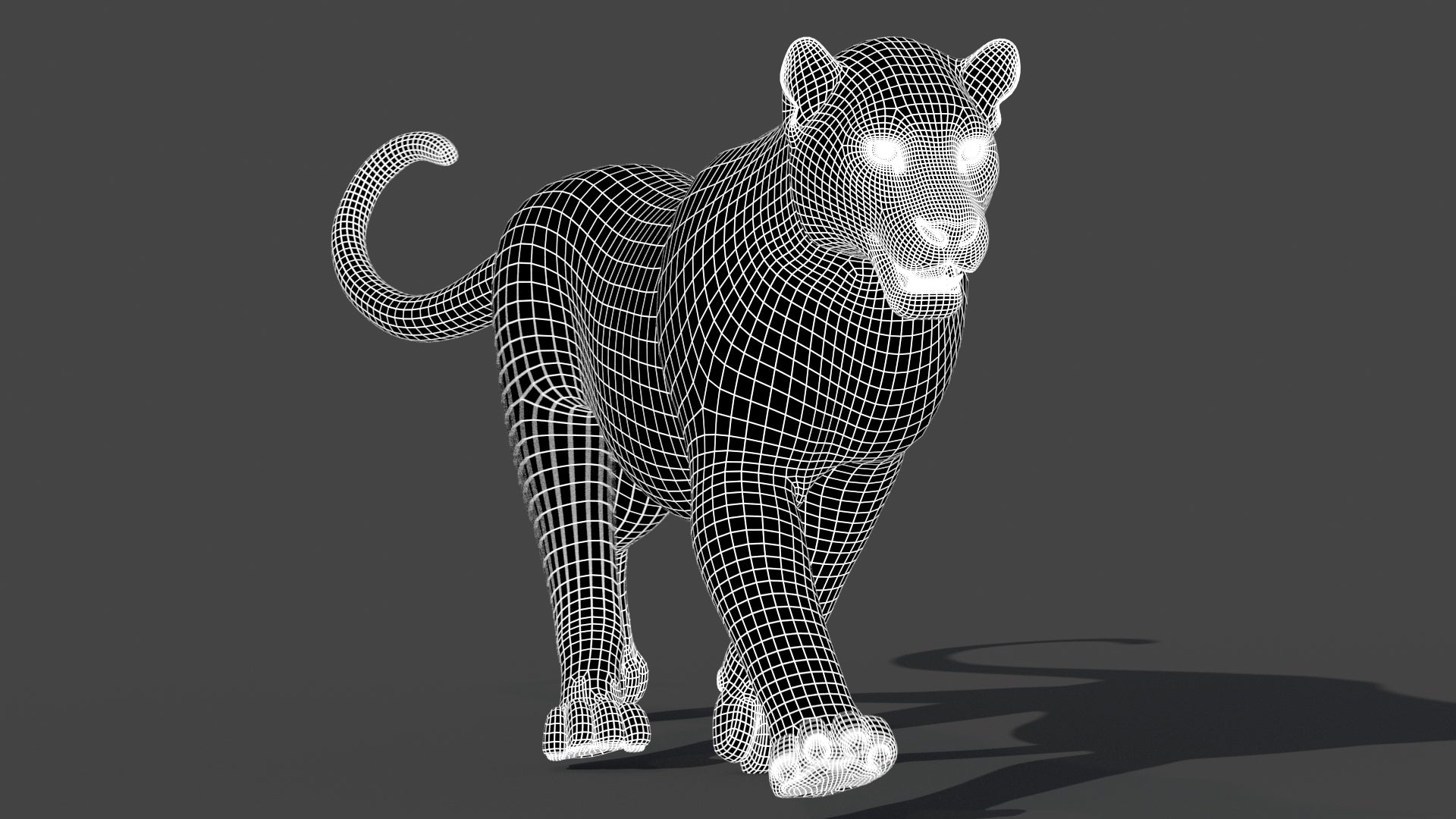 Rigged Black Panther 3D Model Wireframe 1