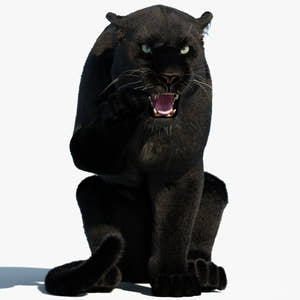 Rigged Black Panther 3D Model with Fur Thumbnail