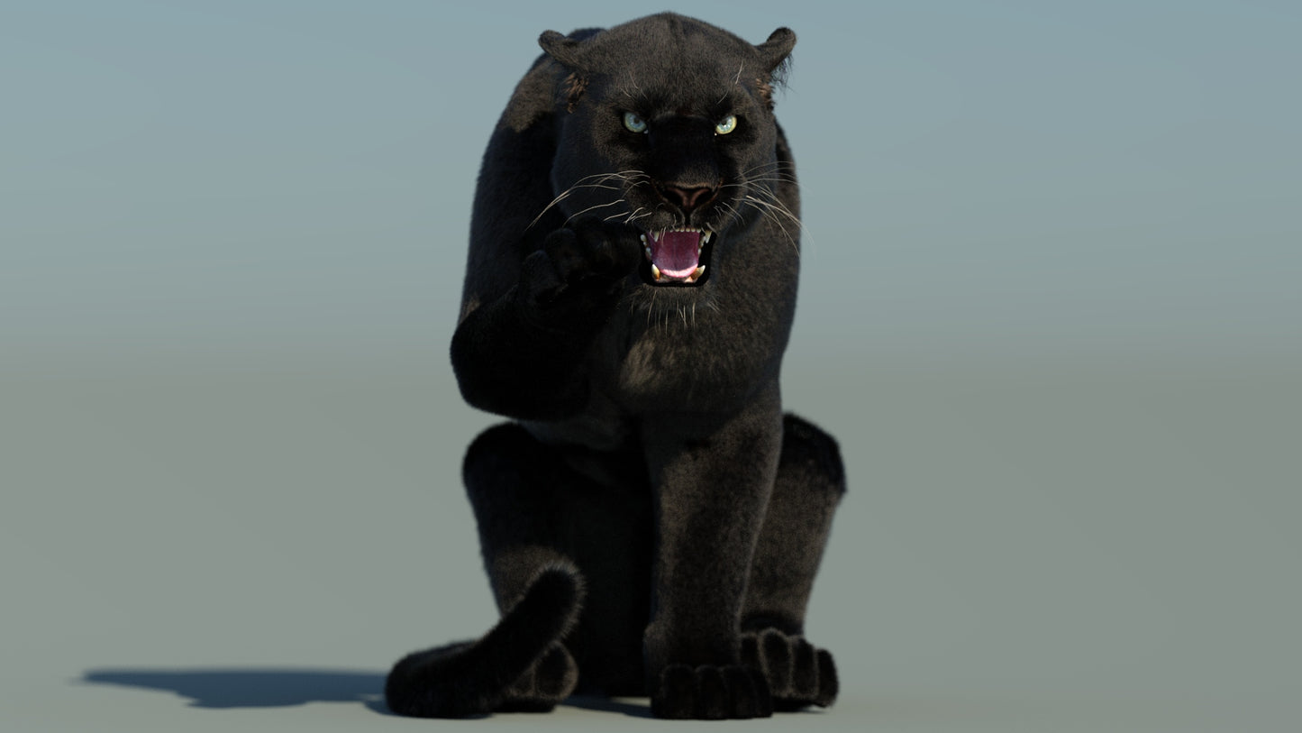 Rigged Black Panther 3D Model with Fur