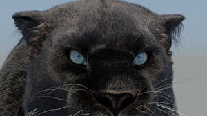Rigged Black Panther 3D Model with Fur Thumbnail