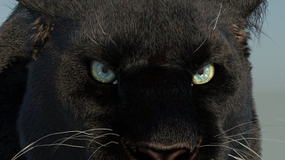 Rigged Black Panther 3D Model with Fur