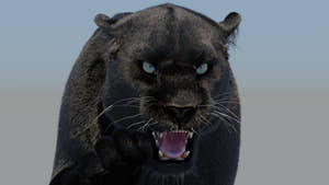 Rigged Black Panther 3D Model with Fur Thumbnail