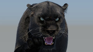 Rigged Black Panther 3D Model with Fur Thumbnail
