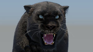 Rigged Black Panther 3D Model with Fur Thumbnail