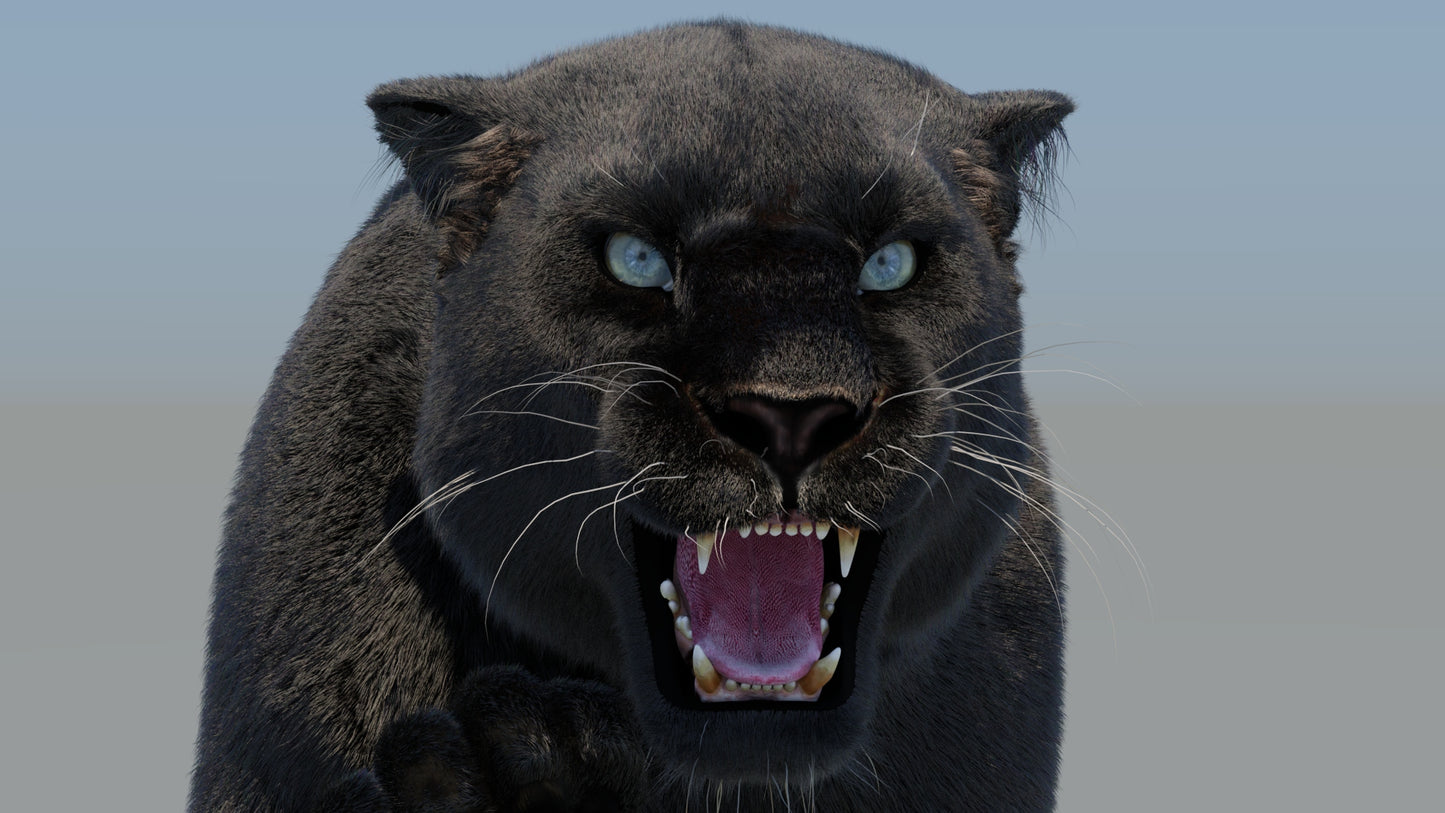 Rigged Black Panther 3D Model with Fur