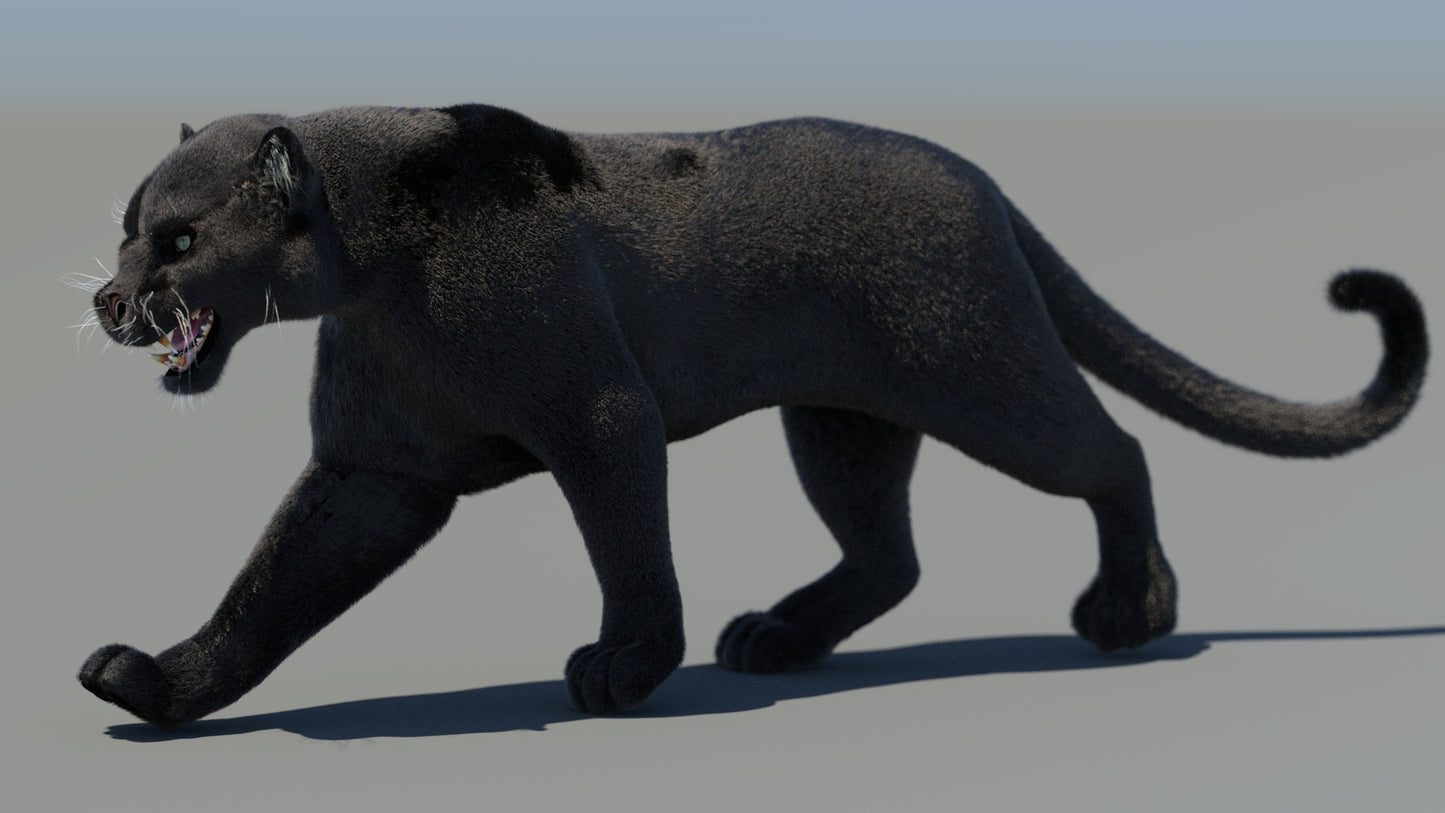 Rigged Black Panther 3D Model with Fur