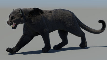 Rigged Black Panther 3D Model with Fur