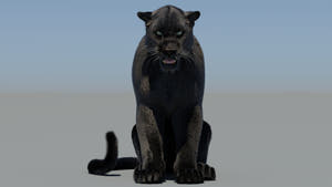 Rigged Black Panther 3D Model with Fur Thumbnail