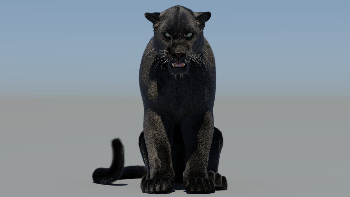 Rigged Black Panther 3D Model with Fur