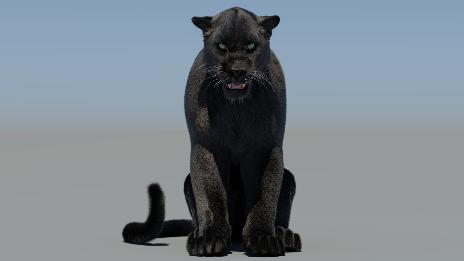 Rigged Black Panther 3D Model with Fur