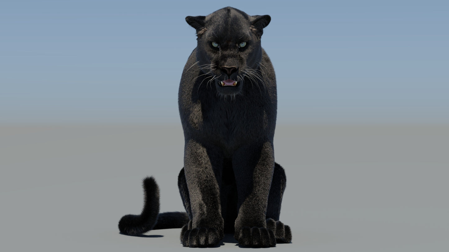 Rigged Black Panther 3D Model with Fur