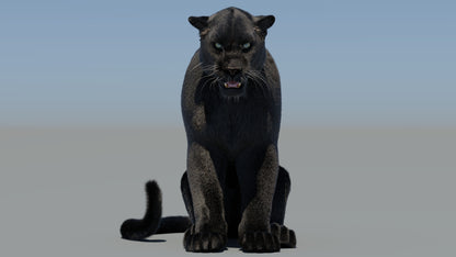 Rigged Black Panther 3D Model with Fur