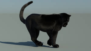 Rigged Black Panther 3D Model with Fur Thumbnail