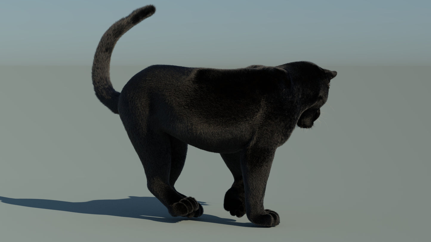 Rigged Black Panther 3D Model with Fur
