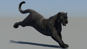 Rigged Black Panther 3D Model with Fur Thumbnail
