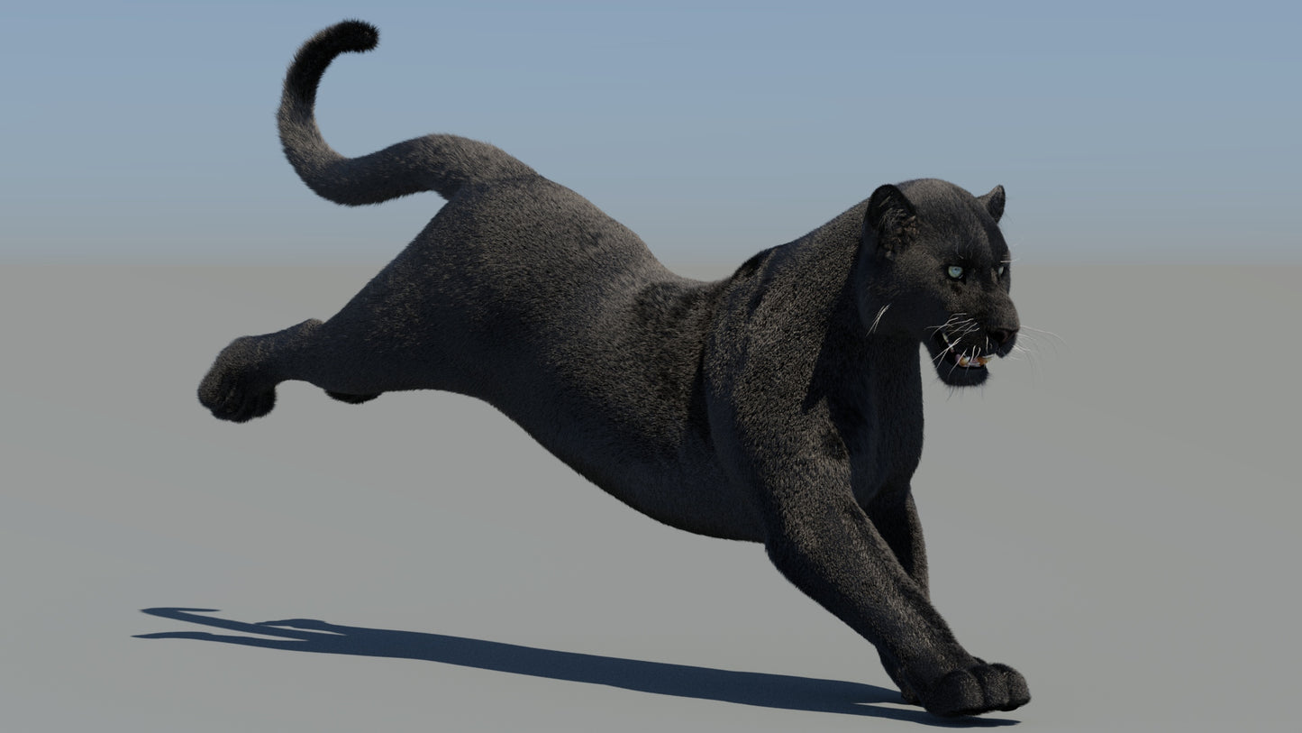 Rigged Black Panther 3D Model with Fur