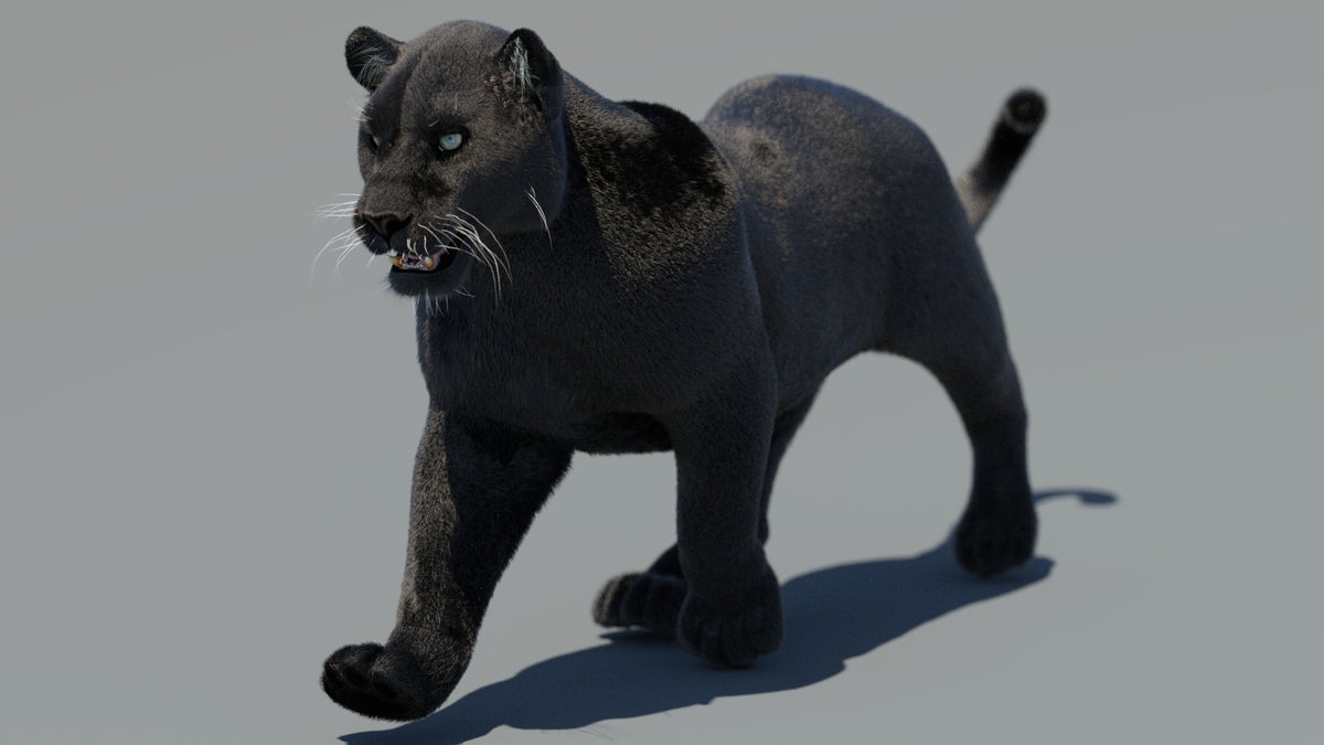 Rigged Black Panther 3D Model with Fur