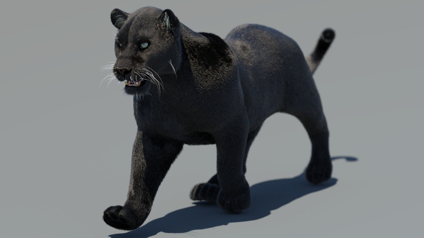 Rigged Black Panther 3D Model with Fur