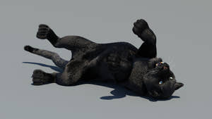 Rigged Black Panther 3D Model with Fur Thumbnail