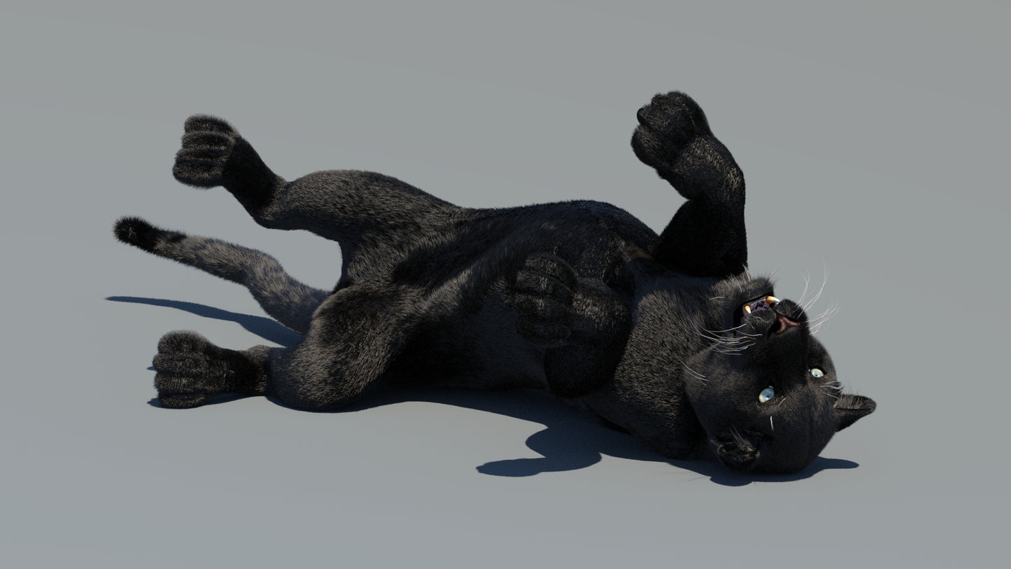 Rigged Black Panther 3D Model with Fur