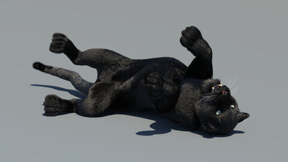 Rigged Black Panther 3D Model with Fur
