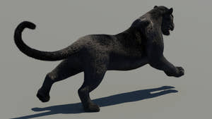 Rigged Black Panther 3D Model with Fur Thumbnail