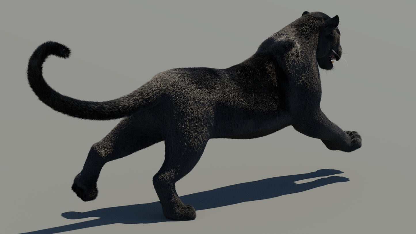 Rigged Black Panther 3D Model with Fur