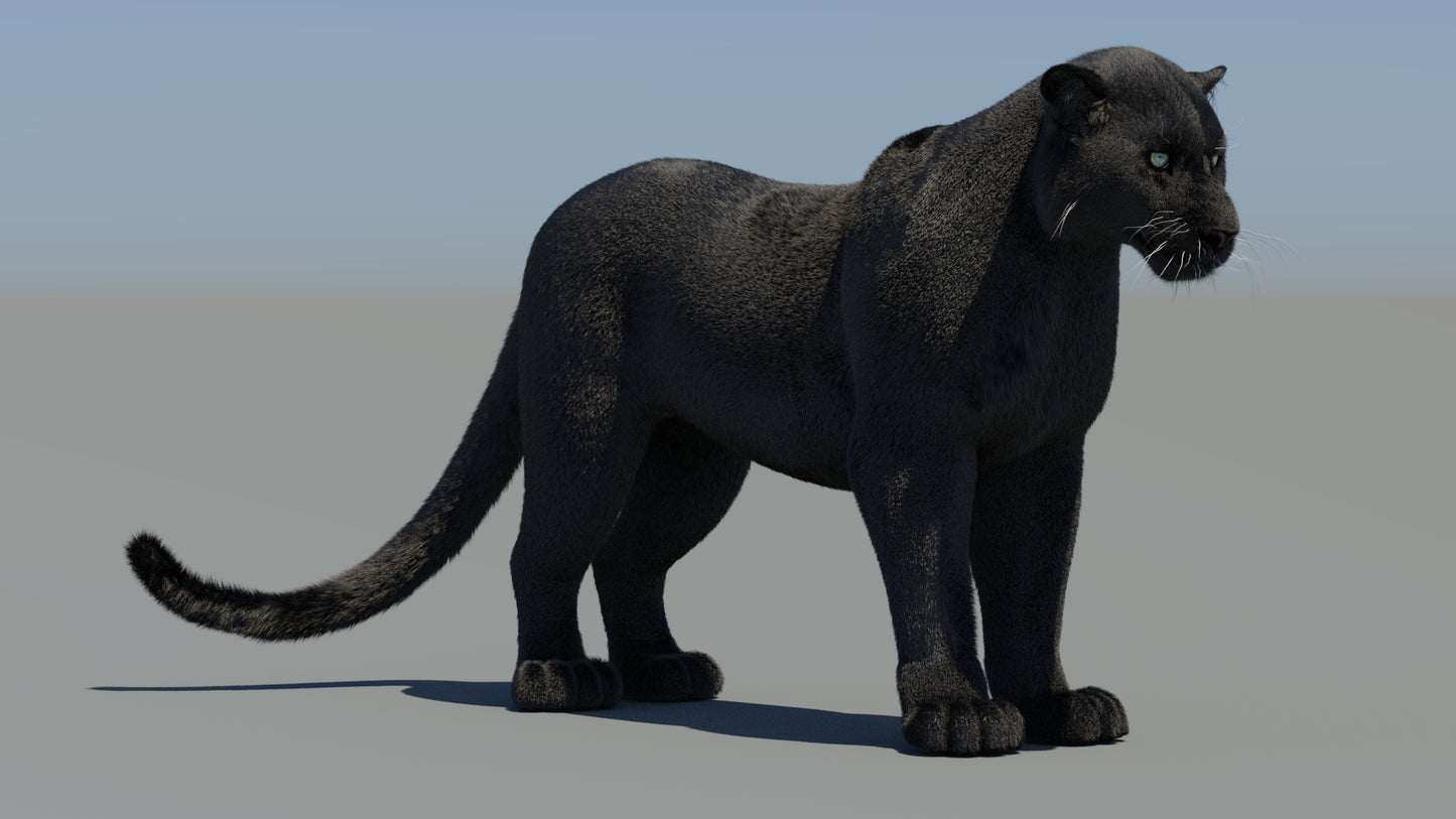 Rigged Black Panther 3D Model with Fur