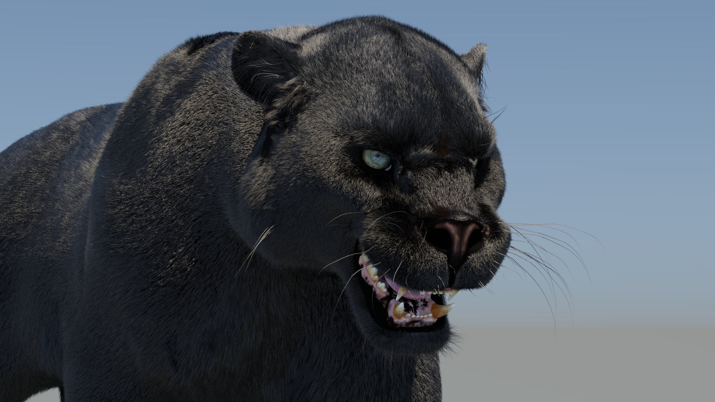 Rigged Black Panther 3D Model with Fur