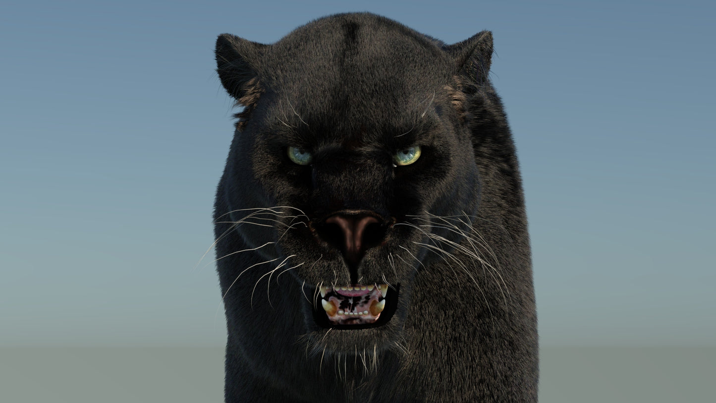 Rigged Black Panther 3D Model with Fur
