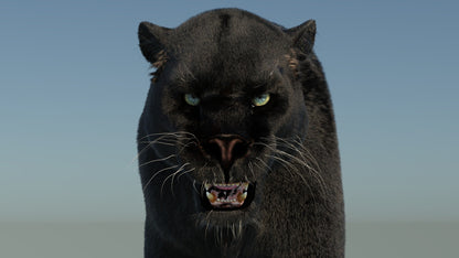 Rigged Black Panther 3D Model with Fur