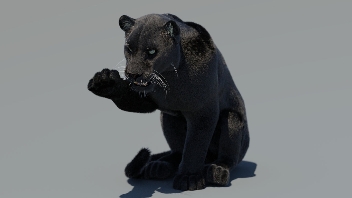 Rigged Black Panther 3D Model with Fur