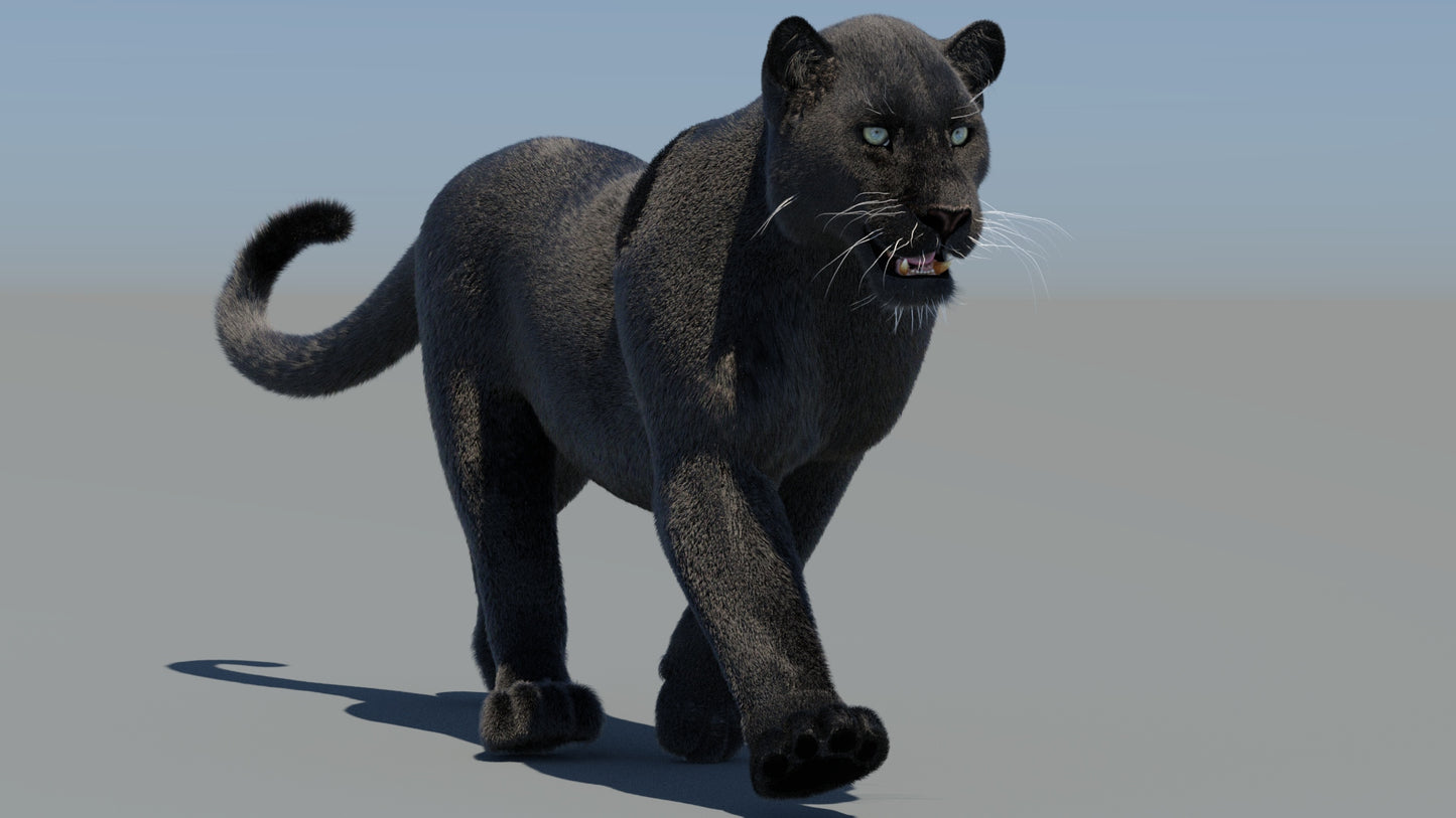Rigged Black Panther 3D Model with Fur