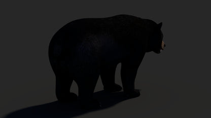 Realistic Black Bear 3D Model for Game