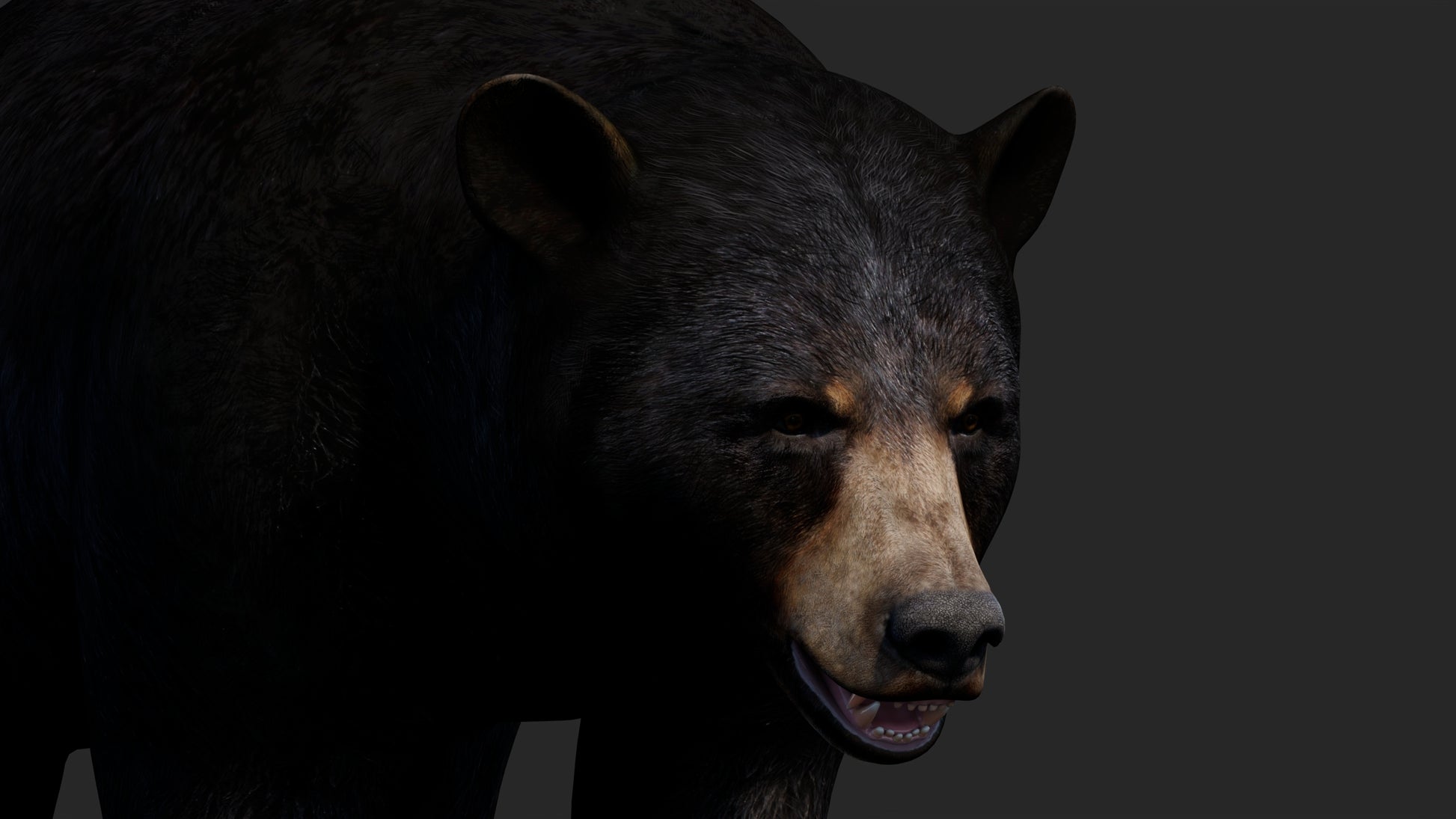 Realistic Black Bear 3D Model for Game