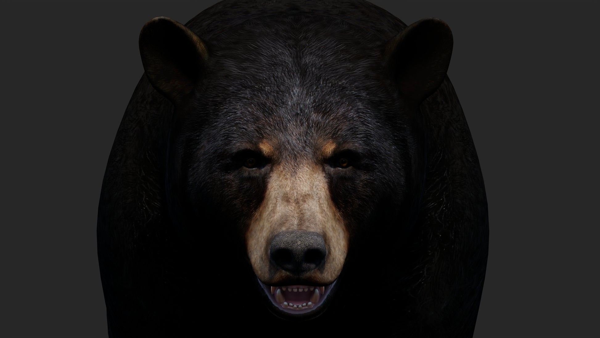 Realistic Black Bear 3D Model for Game