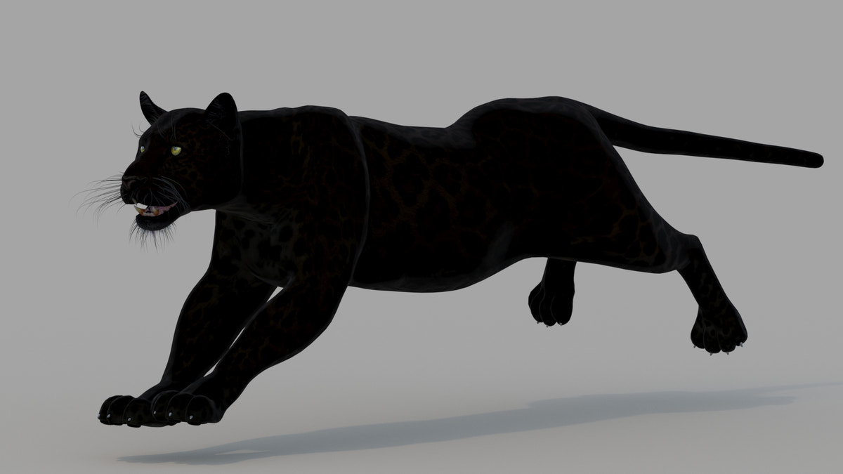 Animated Black Panther Animal 3D Model - 360 Degree View