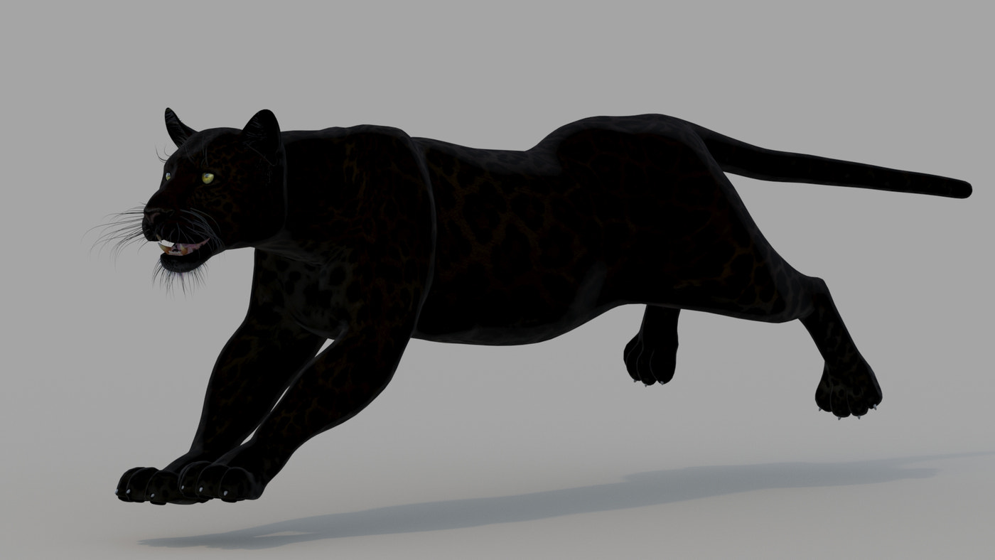 Animated Black Panther Animal 3D Model - 360 Degree View