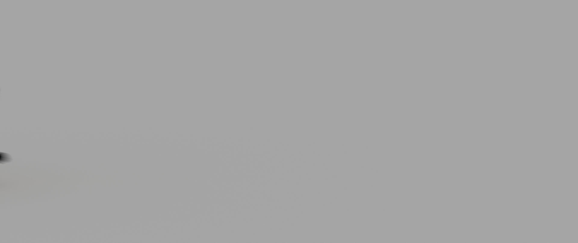 Animated Black Panther Animal 3D Model - 360 Degree View