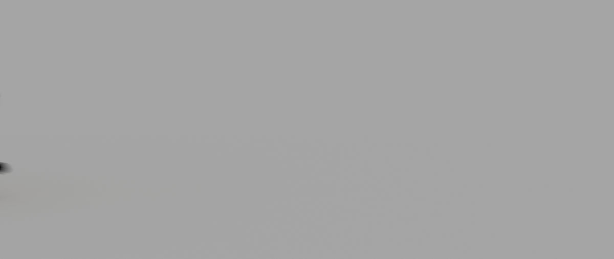 Animated Black Panther Animal 3D Model - 360 Degree View